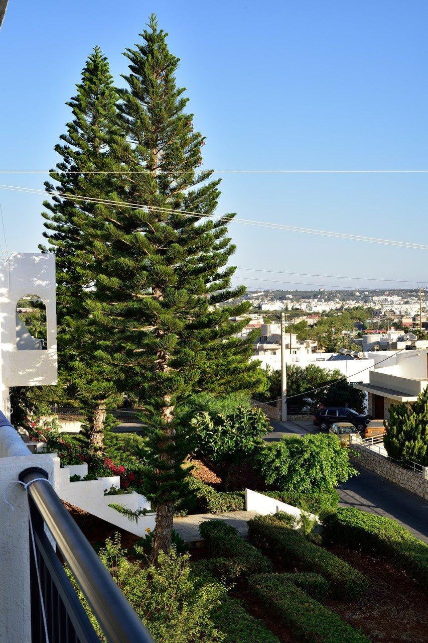 Dimitra Hotel Limenas Chersonisou Exterior foto